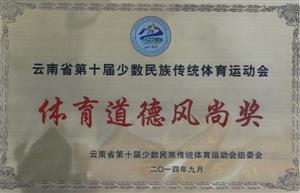 云南省第十届少数民族传统体育运动会体育道德风尚奖