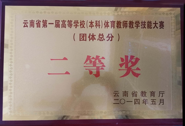 云南省第一届高等学校（本科）体育教师教学技能大赛二等奖