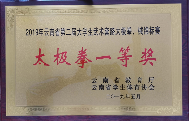 云南省第二届大学生武术套路太极拳、械锦标赛一等奖